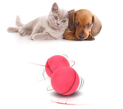 Roll & Glow Cat Play Ball