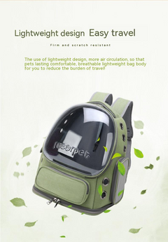 Clear View Cat Travel Bag