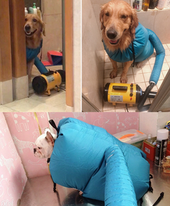 Cozy Pet Dryer Box