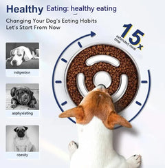 Healthy Pace Pet Bowl