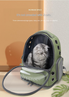 Clear View Cat Travel Bag