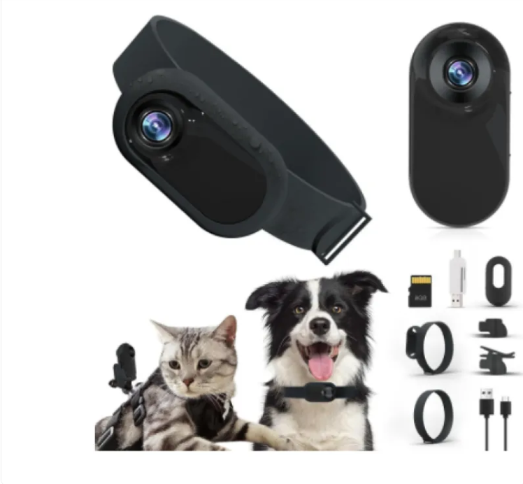 PetView Wireless Collar Cam