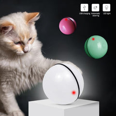 Roll & Glow Cat Play Ball