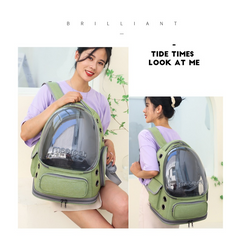 Clear View Cat Travel Bag