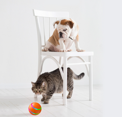 SmartPlay USB Cat Toy Ball