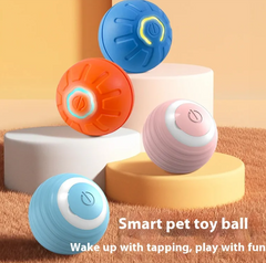 Clever Pup Play Ball
