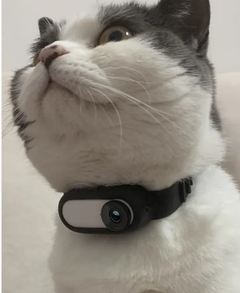 PetView Wireless Collar Cam