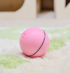 Roll & Glow Cat Play Ball