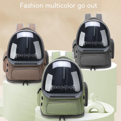 Clear View Cat Travel Bag