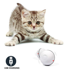 Roll & Glow Cat Play Ball